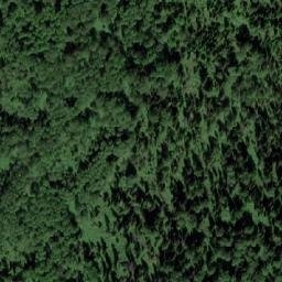Satellite imagery of Верх. Барзасский, RU