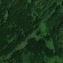 Satellite imagery of Городок, RU