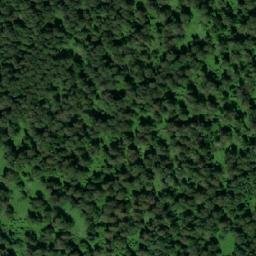 Satellite imagery of Бол. Ямное, RU