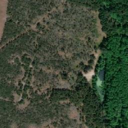 Satellite imagery of Sargo Ragas, LT