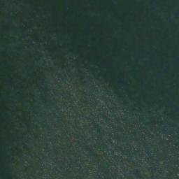 Satellite imagery of Nigelius Point, US