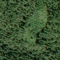Satellite imagery of Nigelius Point, US