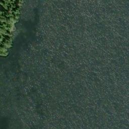 Satellite imagery of Nigelius Point, US