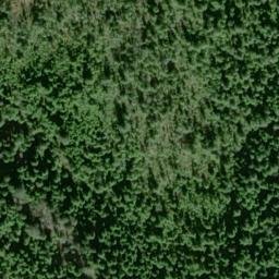 Satellite imagery of Figgins Point, US