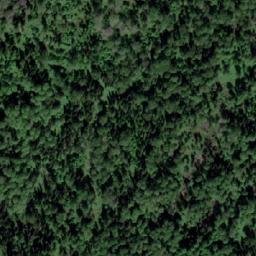 Satellite imagery of Бердовка, RU