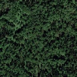 Satellite imagery of Бердовка, RU