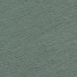 Satellite imagery of Point Incarnation, US