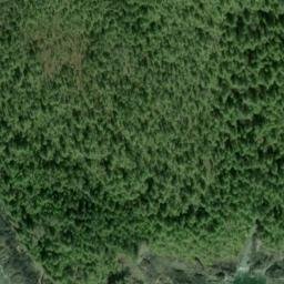 Satellite imagery of Niblack Point, US