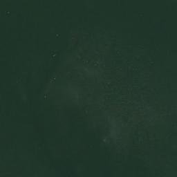 Satellite imagery of Adams Point, US