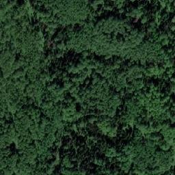 Satellite imagery of Березовая Грива, RU