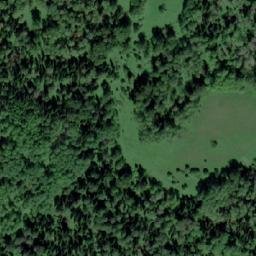 Satellite imagery of Березовая Грива, RU