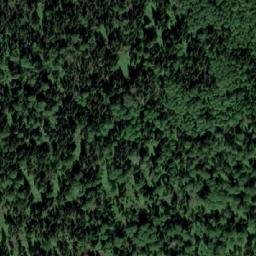 Satellite imagery of Березовая Грива, RU