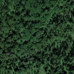Satellite imagery of Березовая Грива, RU