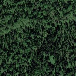 Satellite imagery of Березовая Грива, RU