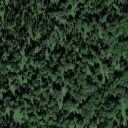 Satellite imagery of Березовая Грива, RU