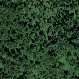 Satellite imagery of Березовая Грива, RU