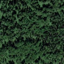 Satellite imagery of Березовая Грива, RU