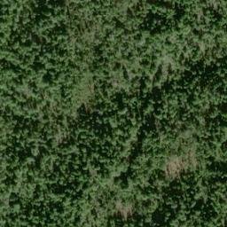 Satellite imagery of Lyman Point, US
