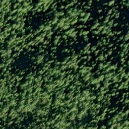 Satellite imagery of Betton Point, US