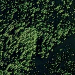 Satellite imagery of Betton Point, US