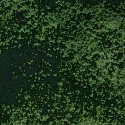 Satellite imagery of Sawmill Point, US
