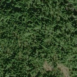 Satellite imagery of Sawmill Point, US