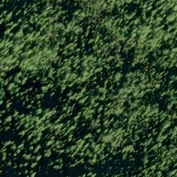 Satellite imagery of Betton Point, US