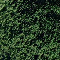 Satellite imagery of Betton Point, US