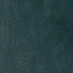 Satellite imagery of Snail Point, US
