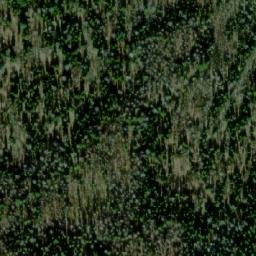 Satellite imagery of Васильевский, RU