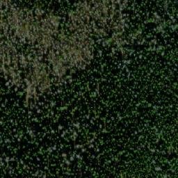 Satellite imagery of Васильевский, RU