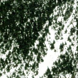 Satellite imagery of Frypan Pass, CA