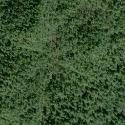 Satellite imagery of Point Cuerbo, US