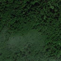 Satellite imagery of Сухостойник, RU