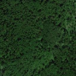 Satellite imagery of Сухостойник, RU