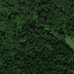 Satellite imagery of Сухостойник, RU