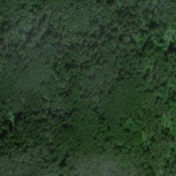 Satellite imagery of Сухостойник, RU
