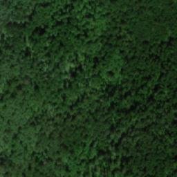 Satellite imagery of Сухостойник, RU