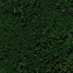 Satellite imagery of Сухостойник, RU