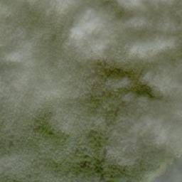 Satellite imagery of Pearson Point, CA