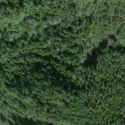 Satellite imagery of Saint Nicholas Point, US