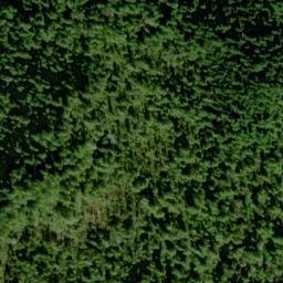 Satellite imagery of Point Eugenia, US