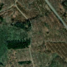 Satellite imagery of Lundsgård Klint, DK
