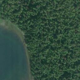 Satellite imagery of Maple Point, CA