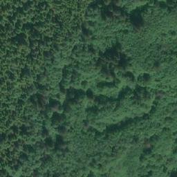 Satellite imagery of Maple Point, CA