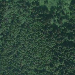 Satellite imagery of Maple Point, CA