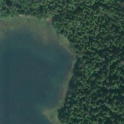 Satellite imagery of Maple Point, CA