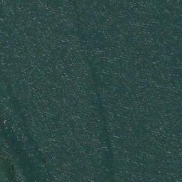 Satellite imagery of Silvester Point, US