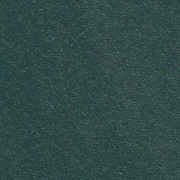 Satellite imagery of Silvester Point, US