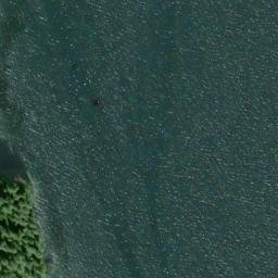 Satellite imagery of Silvester Point, US